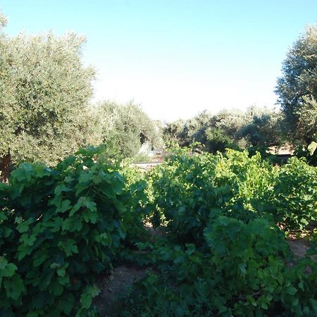 Villa Perivoli Platis Gialos  Eksteriør bilde