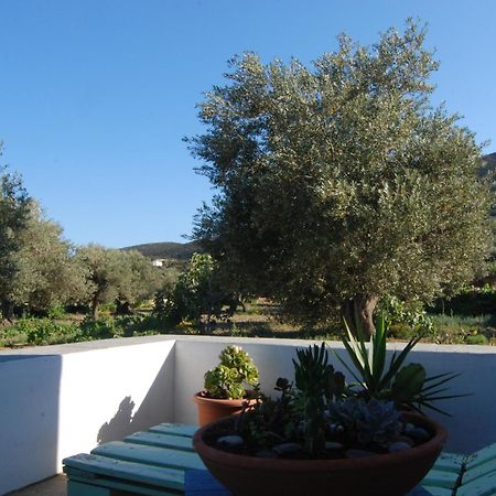Villa Perivoli Platis Gialos  Eksteriør bilde
