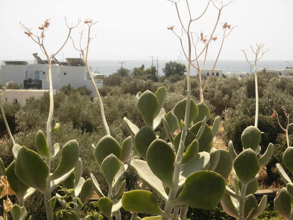 Villa Perivoli Platis Gialos  Eksteriør bilde